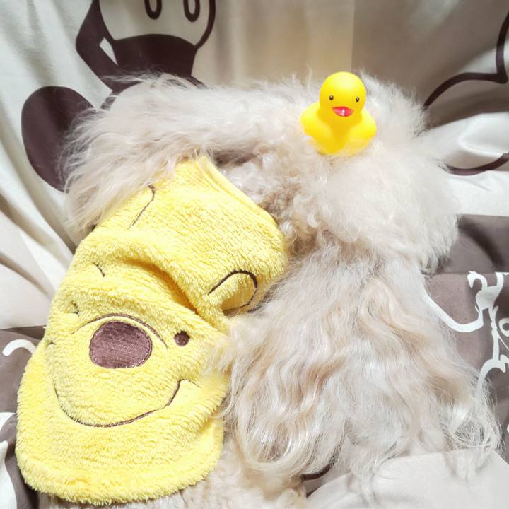 2612760b 7bc3 43ab 8695 06f24334a7ac 1579004752956