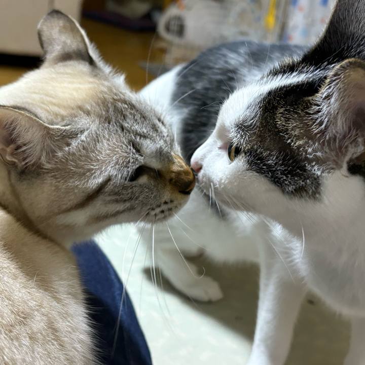 2612a639 14ab 40ed b4fc fb662b3ffb46 1764674554507