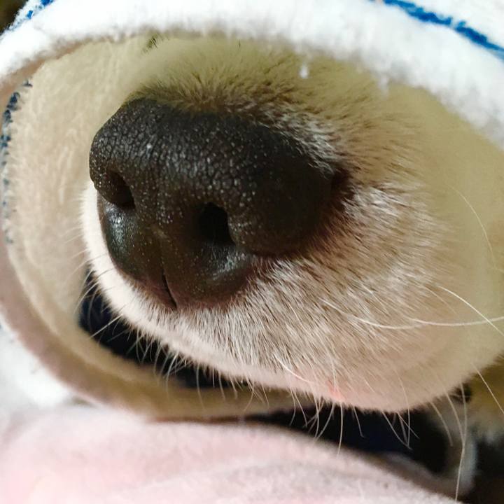 2612a6b0 9c49 46a3 9d27 ee30e6eda8a0 1573444241758