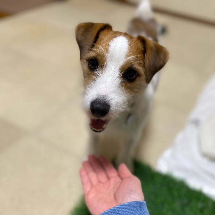 2612f0cd d51e 4976 a5f9 c59e3f53d0fe 1713187883606