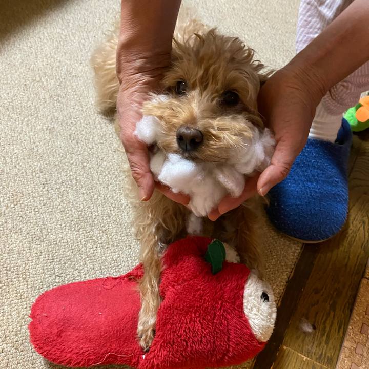 2612f4d5 89db 43af 9dab b4b7e9f3a712 1671759638039