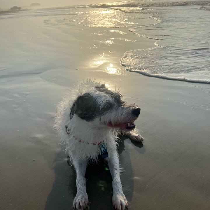 2612fc33 1679 4952 a7ed f6c6b1aa281a 1689891631199