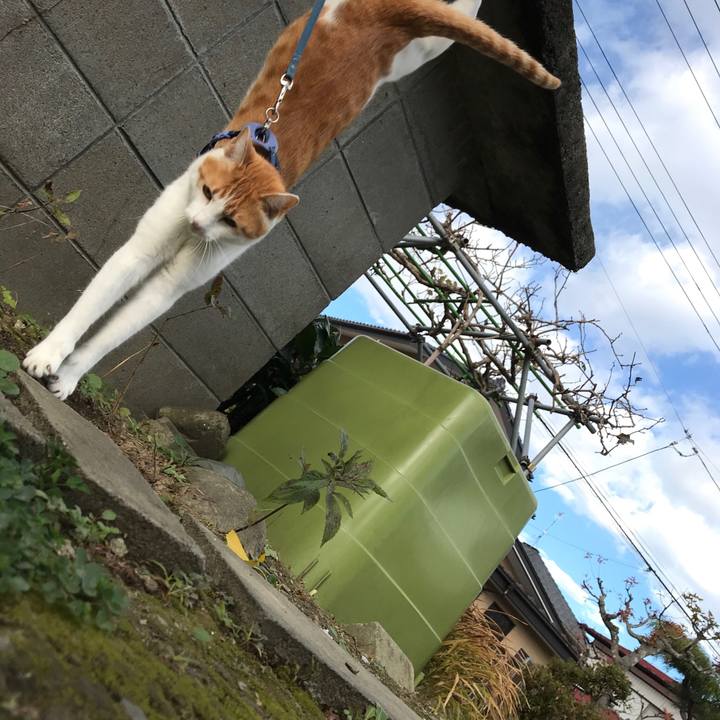 26131c2f a94e 4a7b 9c95 cbeb060fca05 1510370066125