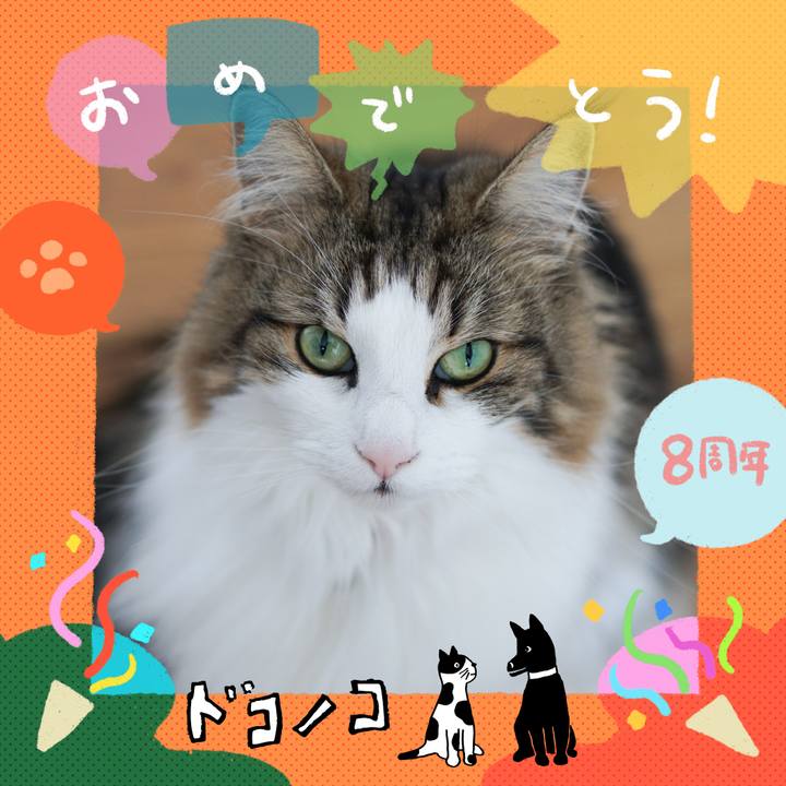 26132daa 9637 49d3 9571 c5bd4d9669ef 1717576950384