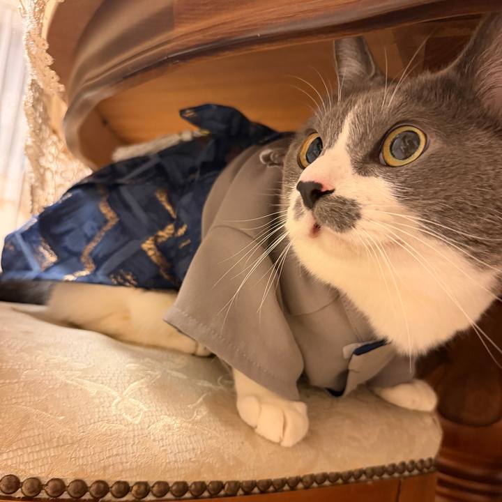 26132ff3 3858 4d77 befd 1e5ee8429e93 1767256441582