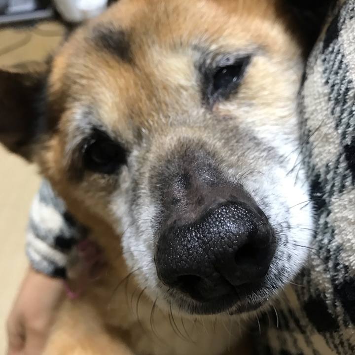 2613305f cf37 4f15 968c 6dde195713d4 1555114407218