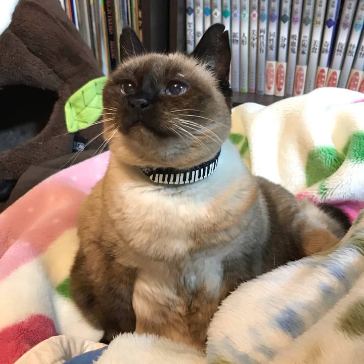 26133e3c 1380 4413 a5d8 a7fc2874f00f 1576941369500