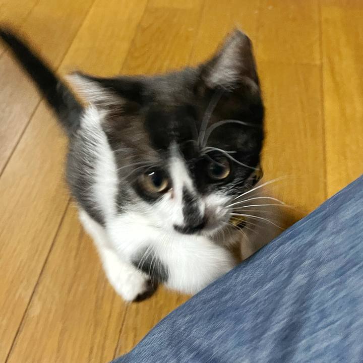 261371b8 992e 4076 bea0 595b78647f25 1698565918742