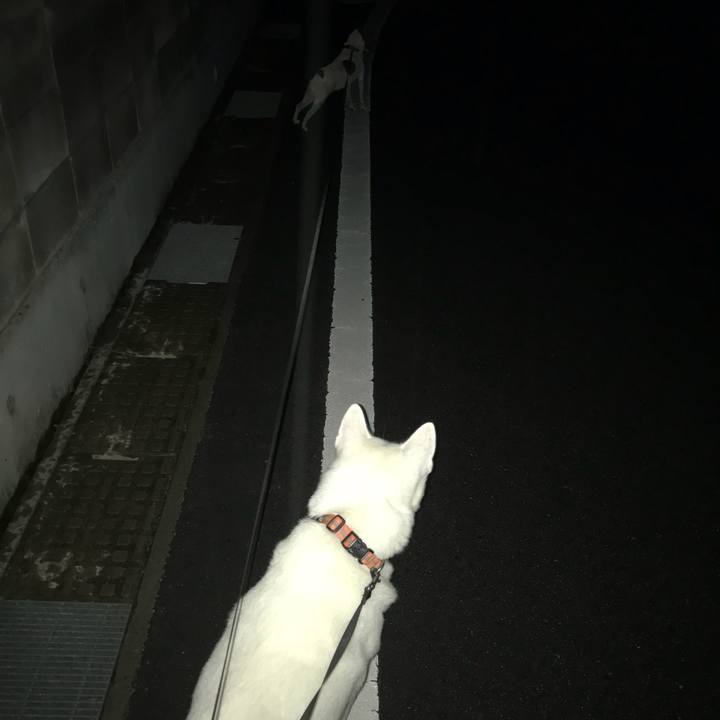 261391ab e657 469f 8cfc d73b66a00f97 1536155783838