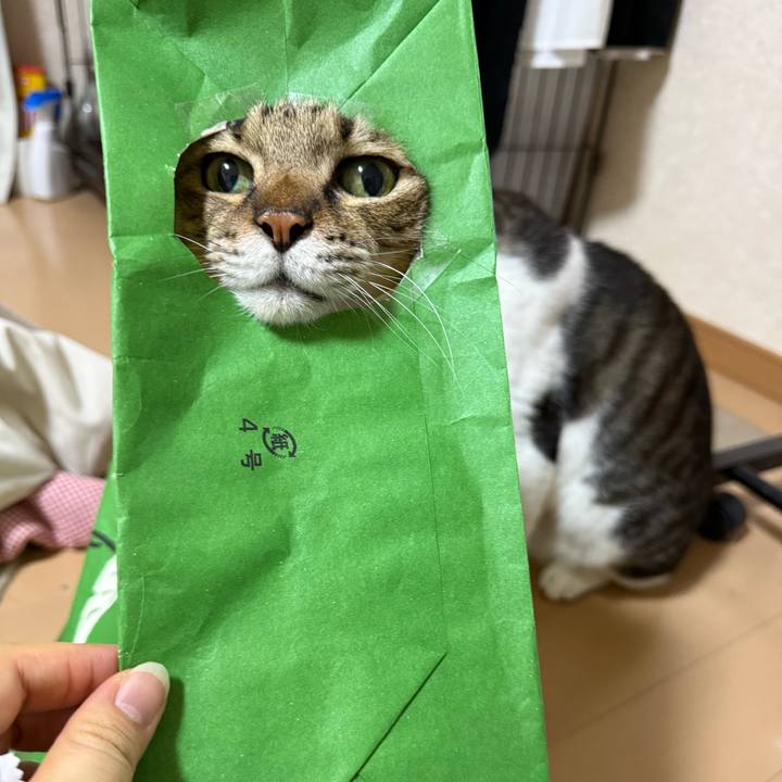 26139330 07d3 49a7 bafb 9ea04b377cec 1769702011372