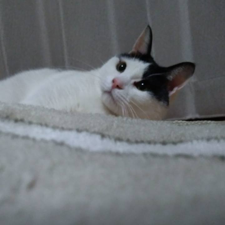 261397a5 eb11 4bad 8643 e090d95df2f2 1522584908176