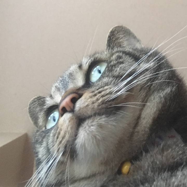 26139ba0 dd62 41a9 8a1e de591cd70ca4 1550808477657