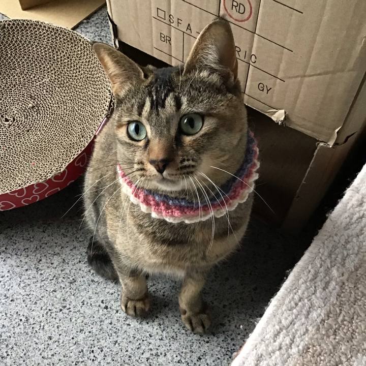 2613a9f4 a381 4ff1 ae3c ae8c96bc33f2 1617513726229