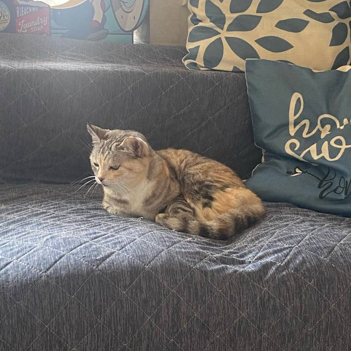 2613ab41 f9f9 41a9 829e 20b40a679667 1717290146354