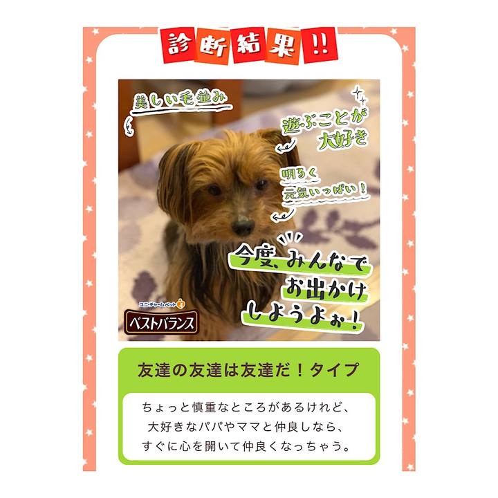 2613ceb4 9365 456d bb0e f514c4c4d692 1541886726703