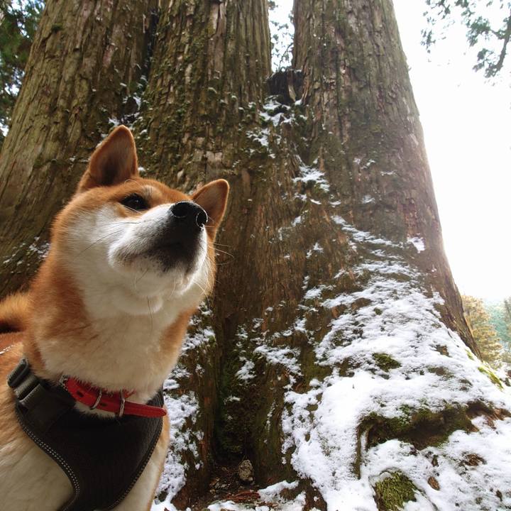 2613d2f3 1d58 48f4 a684 8cf9ba50bb3b 1767080155285