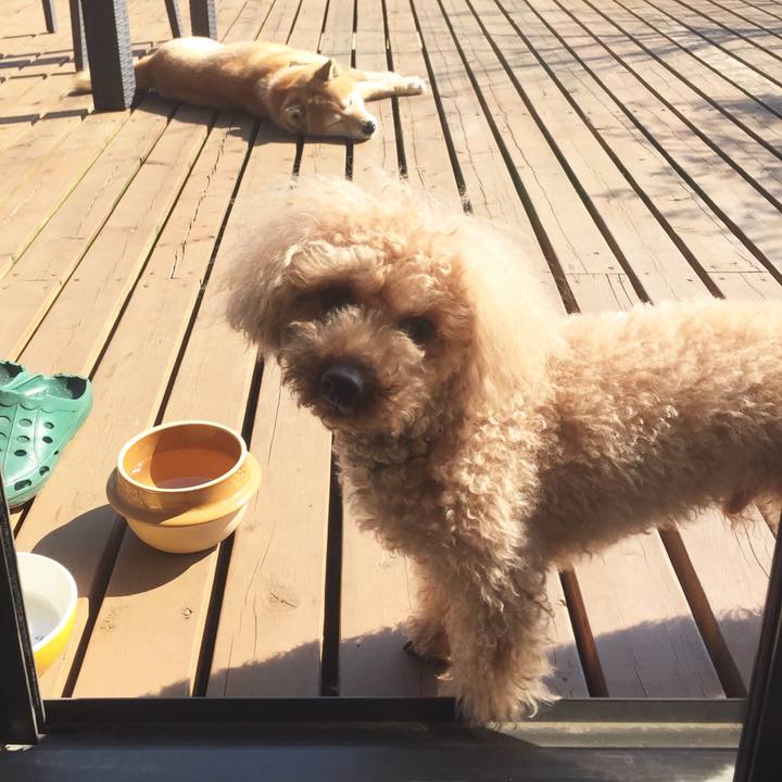 26141379 17e7 45da a6ab 7a309220c31c 1519094354816