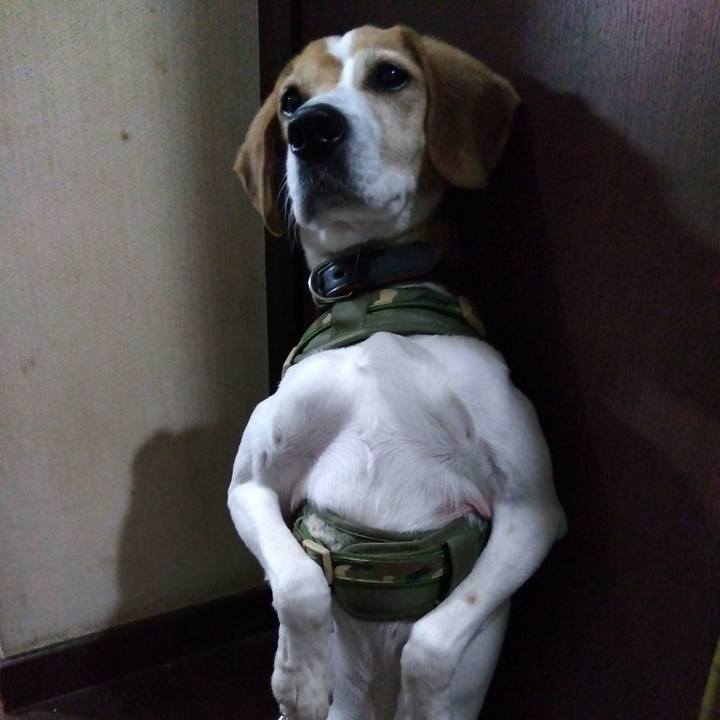 26142704 82aa 436f bb39 e8557c0261b3 1710599718506