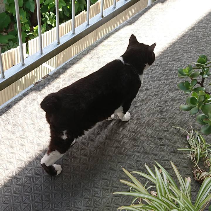 261474fa e8f7 4991 bb3e 9a2d2beb1ea4 1620429276372