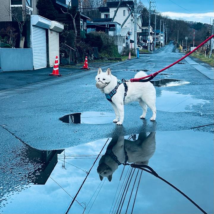 26149d2b 31f5 4250 892e 4ca6d38c3c79 1732658670849