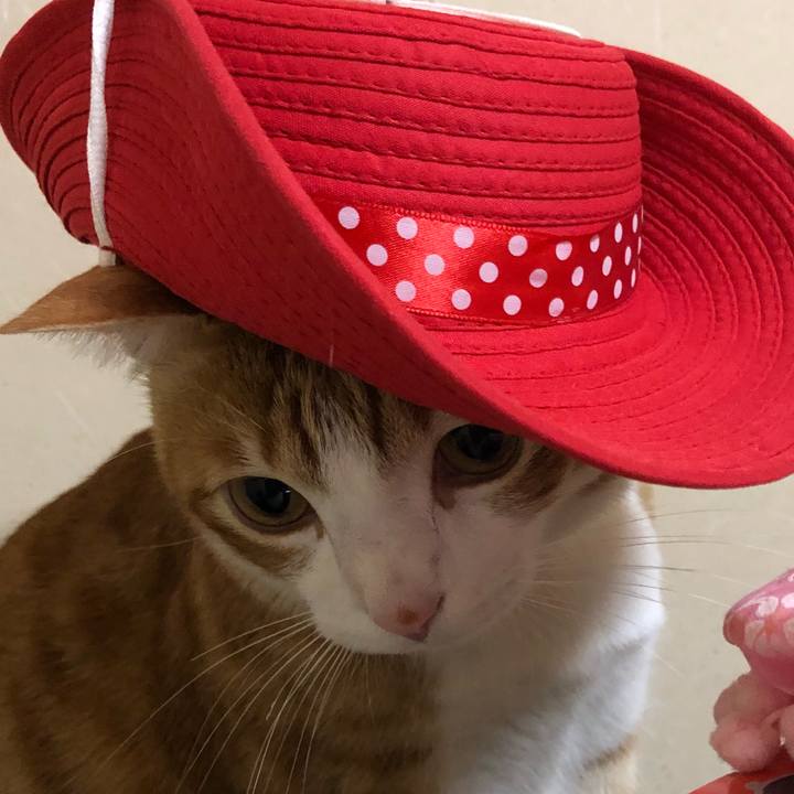 2614a9a3 0e12 477e 9237 db8fc945a431 1518833154140