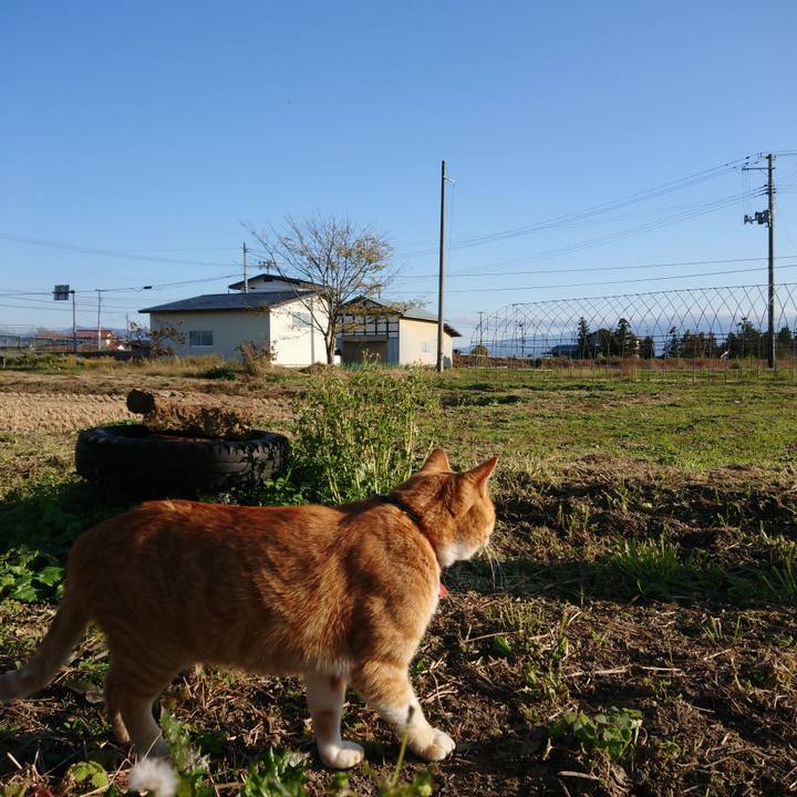 2614af8f 763b 456f b651 c171b8a76fc5 1573367120013