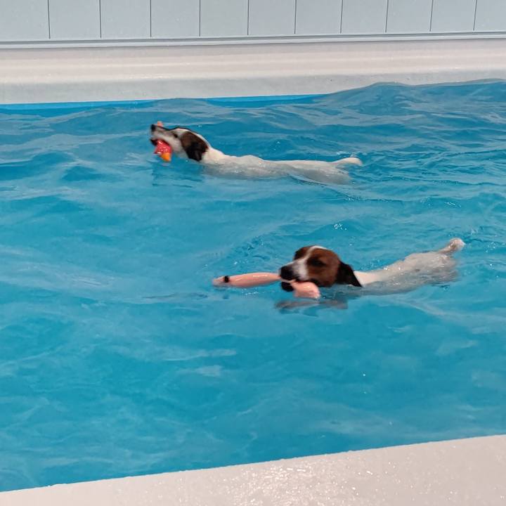 2614fa02 f1f8 4b81 8fbb 4e18a66c37b4 1652531713270