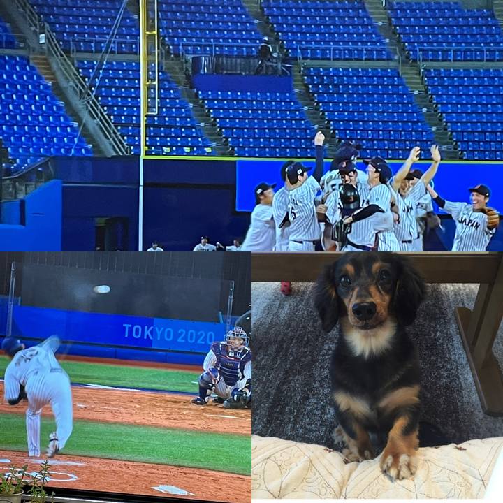 26151678 78c8 4f74 ab0b ee50b7b833a7 1628341301412