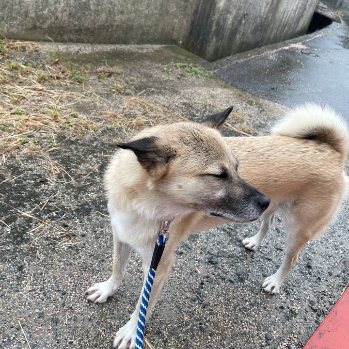 26153ece af4a 4491 b702 8314c65ed503 1663486354890