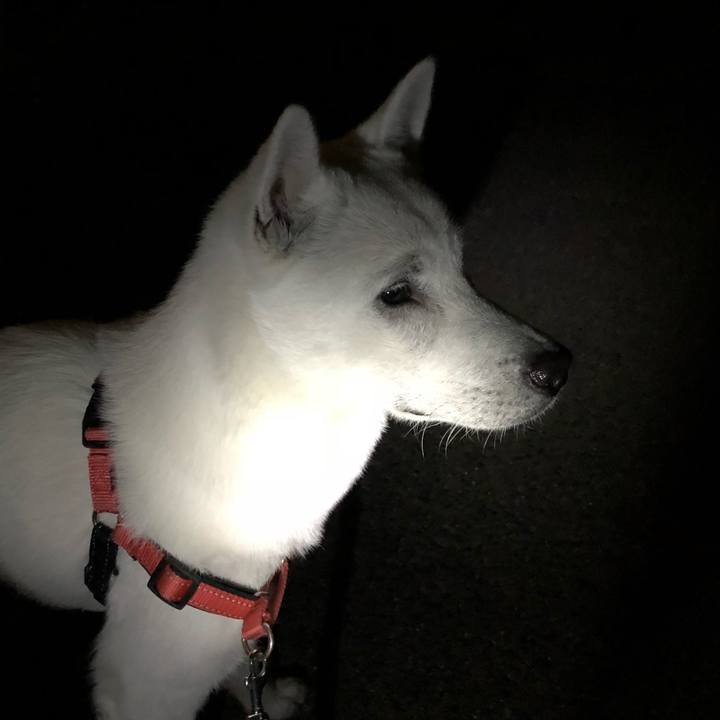 261548c0 628c 4d74 b3d3 968f3ffda533 1523971007044