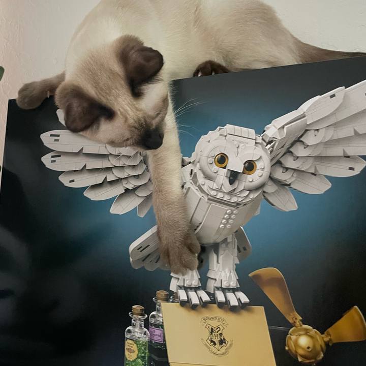 26154dd4 eb48 45cf abc8 3dec66f879ec 1692910642548