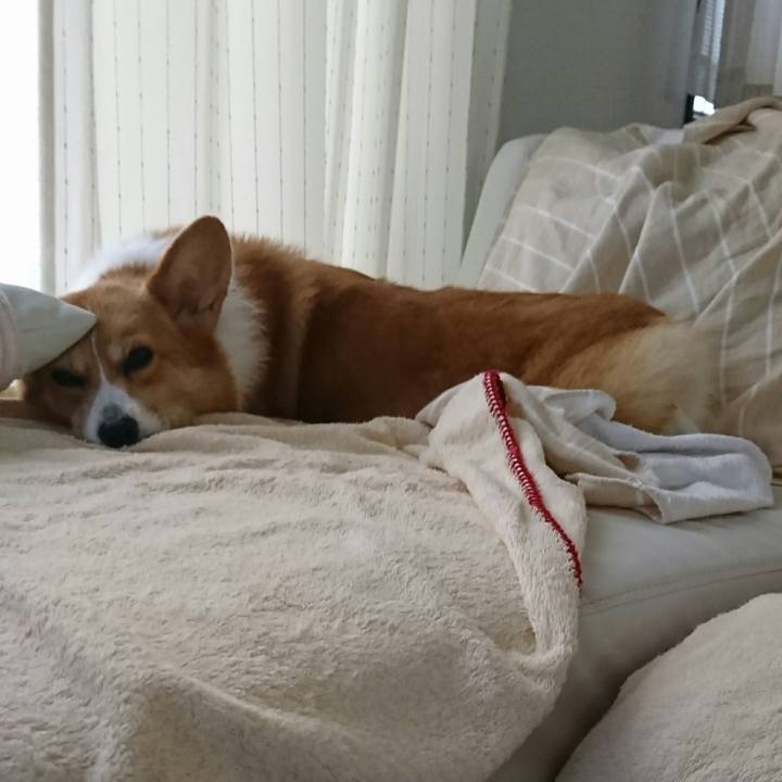 2615694a 82f9 4ed3 bd5f 9f060b6ce750 1540772111068