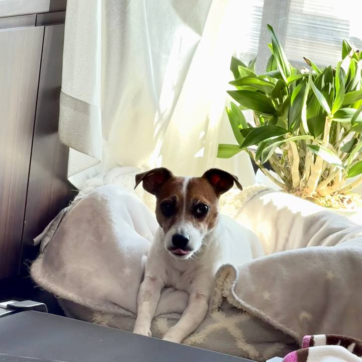 26158b9e f306 4d7e a2e5 9d5a4cf943f8 1771325976656