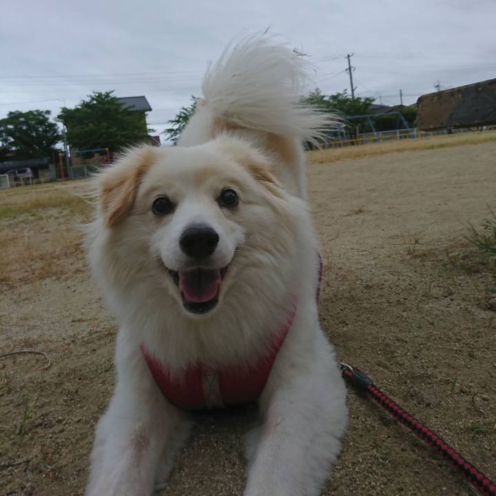 2615a3ba e85a 42f5 87d5 d1fc1bc943ab 1533504739521