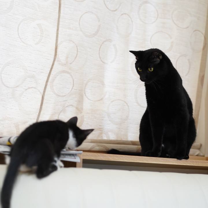 2615bd8d 2c1b 473b ba35 e7c5a1824537 1567553643120