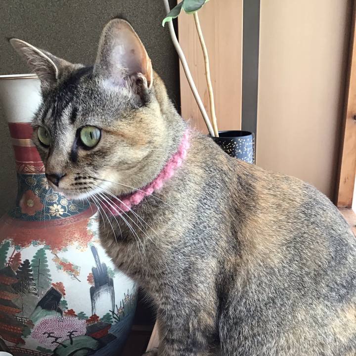 2615e0e8 0a81 4599 9e42 51600467e840 1594513176883