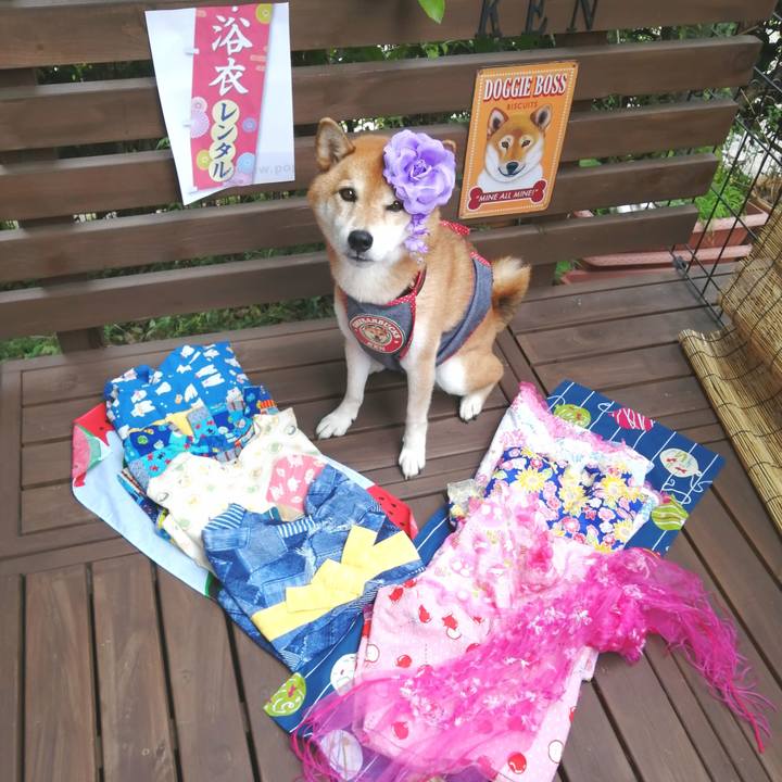 2615edd9 16c2 420d a169 7148c7180b0f 1661562953911