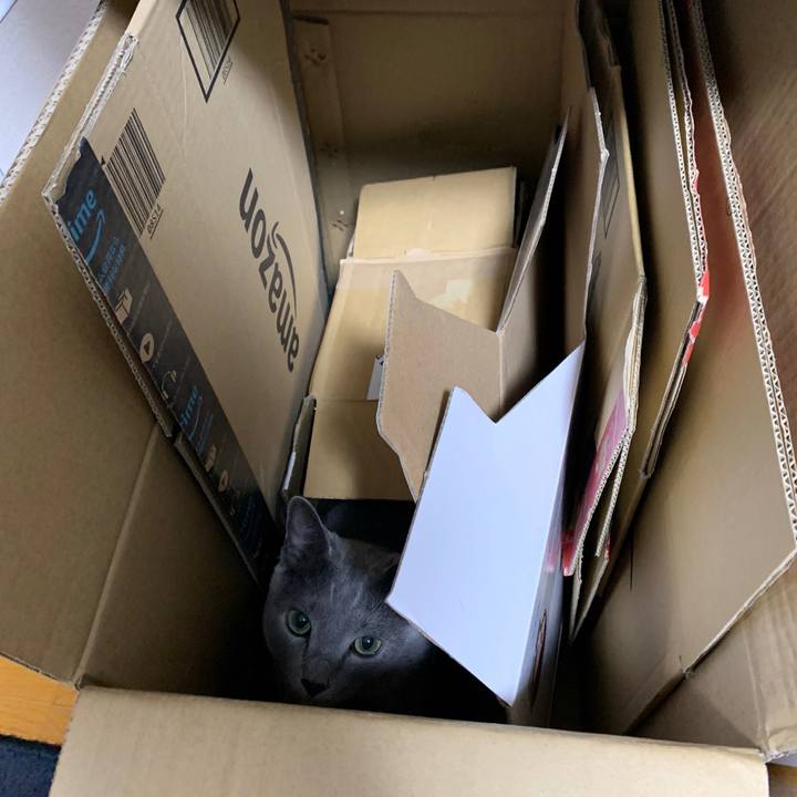 2615f713 6787 4e12 ba30 a118ac2f1fe1 1638315028339