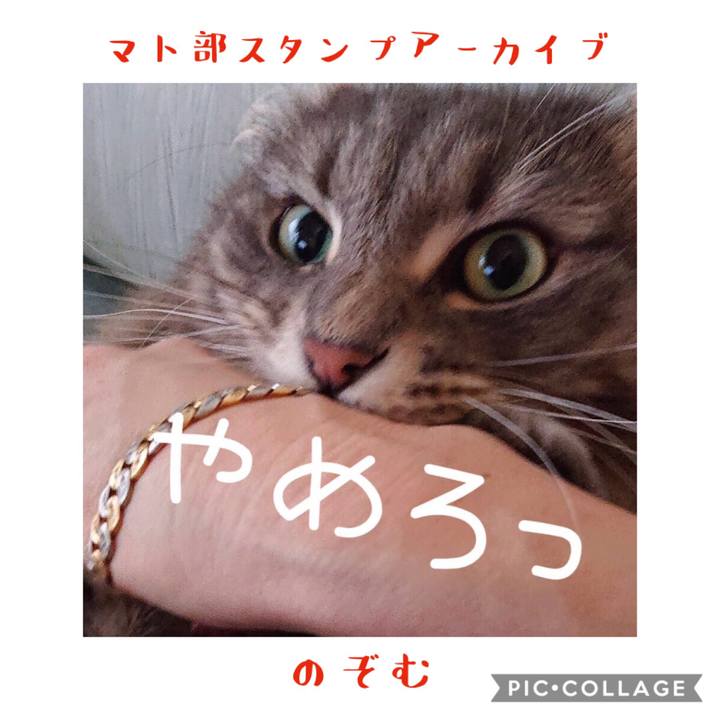 261604ba 92e1 4c08 953c 9c4ddc2bee39 1578744489065