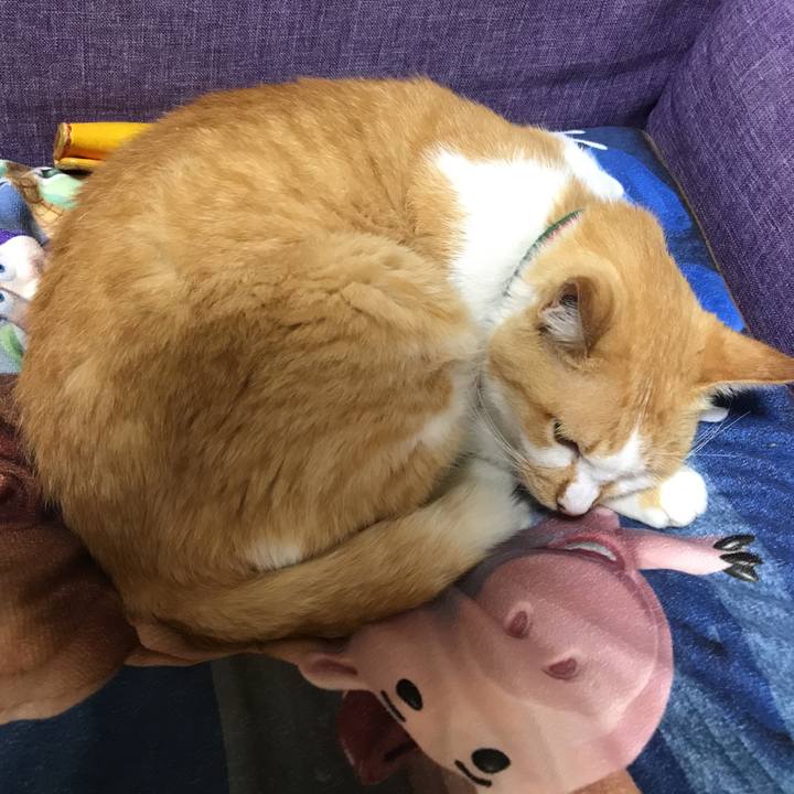 261660ee 1248 4a3d 8003 9bc4a341ab05 1537528327643