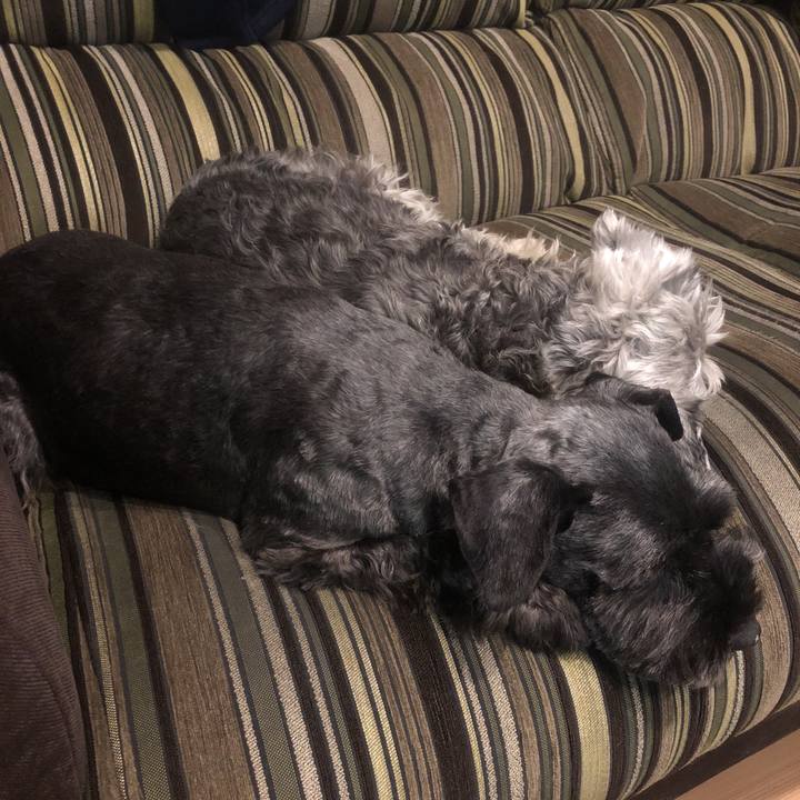 26166aac 54e1 4758 97d7 bb70a7d64436 1519644152869