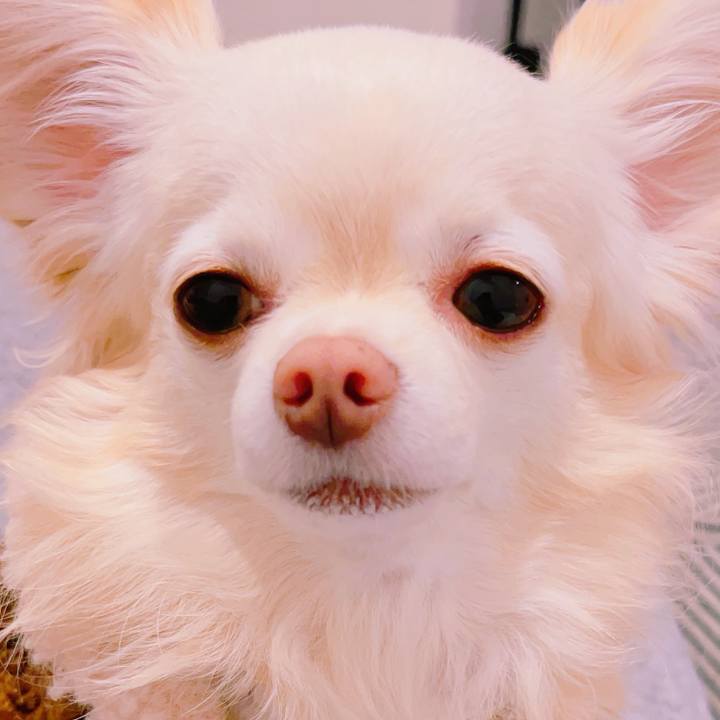 26169dc9 e9c6 420b baf7 7ce2b5461a9f 1702652127639