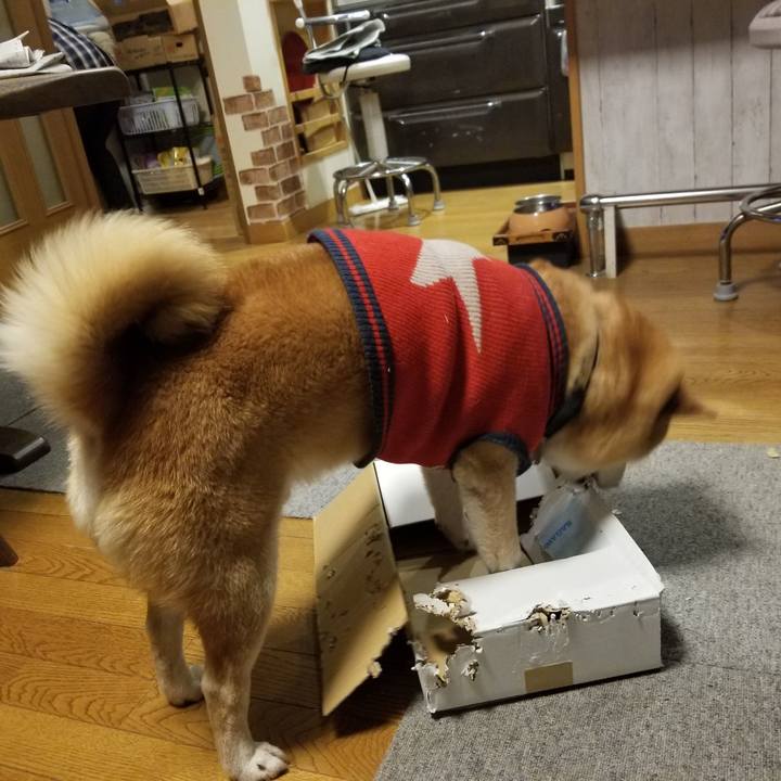 26169e33 06ce 478a 8e5c 471333998d01 1606727608578