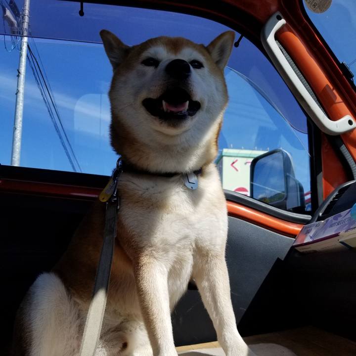 2616a87a 78f9 4153 ad1c 9d2d2dd6b6ae 1569893653274