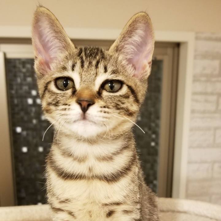 2616a9b3 455e 40ea acac 9d5bb291a2f4 1537705944863