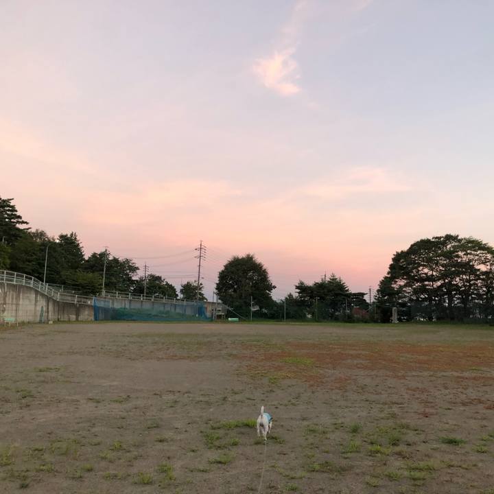 2616b987 6f03 4d1e a526 17f4b7e2e44a 1597843712854