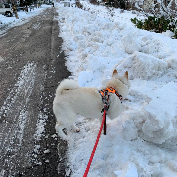 2616f57f d061 4489 8745 aa6d83152806 1637823721956