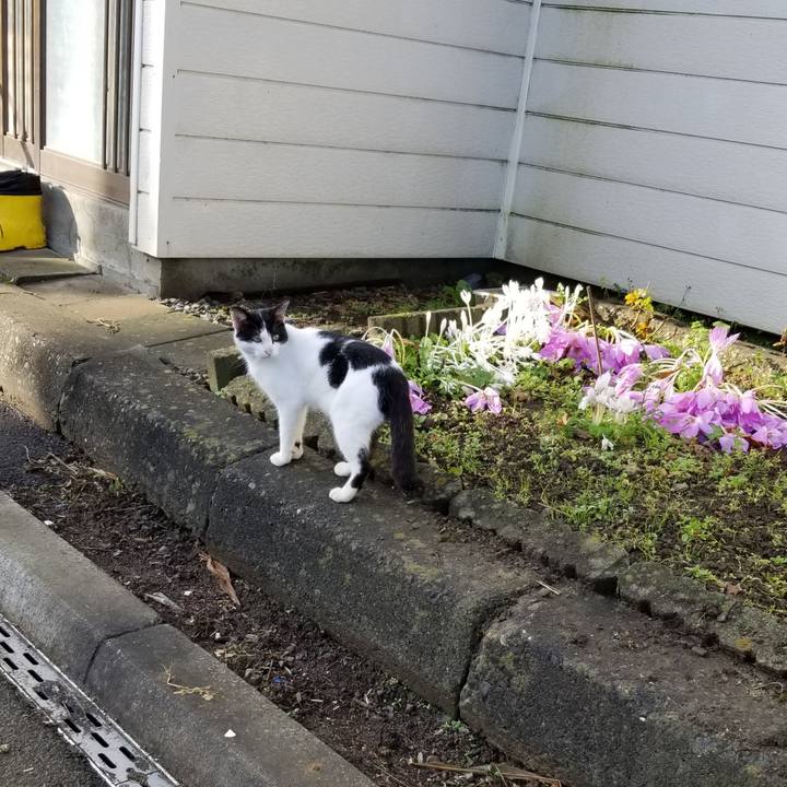 2617190d b367 4d0d b212 eff352e13db7 1602582697866