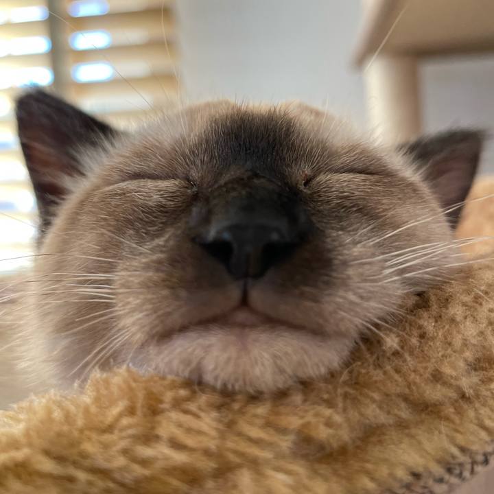 26173285 f9dd 46ef ab9f 9f68187a78b5 1690092087109