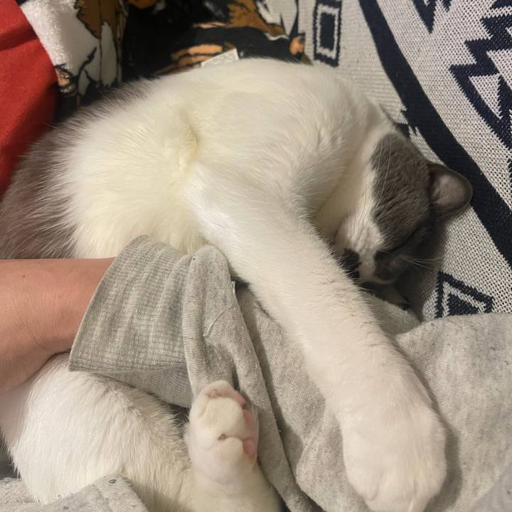 2617404d 2226 4251 97a0 2f1636d94840 1732888047314